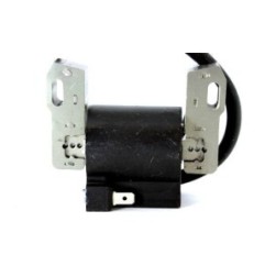 Bobine d'allumage B&S 843860