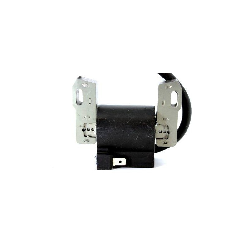 Bobine d'allumage B&S 843860