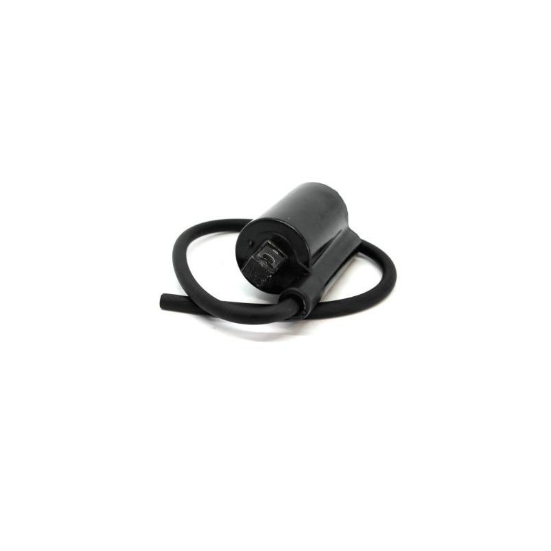 Bobine d'allumage B&S 820037