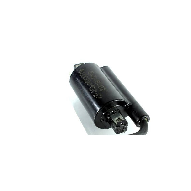 KOHLER CH26 CH735 CH745 CV26 CV7456 LH775 Bobine d'allumage