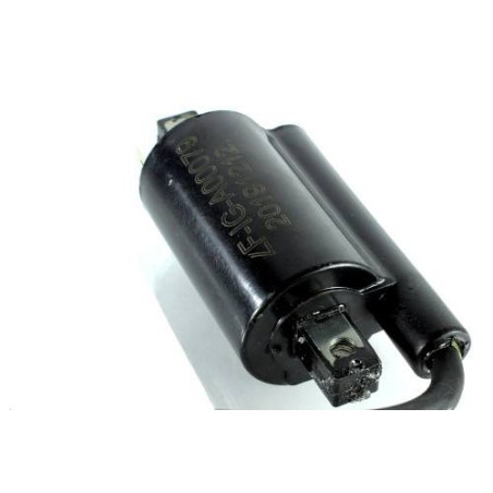 KOHLER CH26 CH735 CH745 CV26 CV7456 LH775 Bobine d'allumage