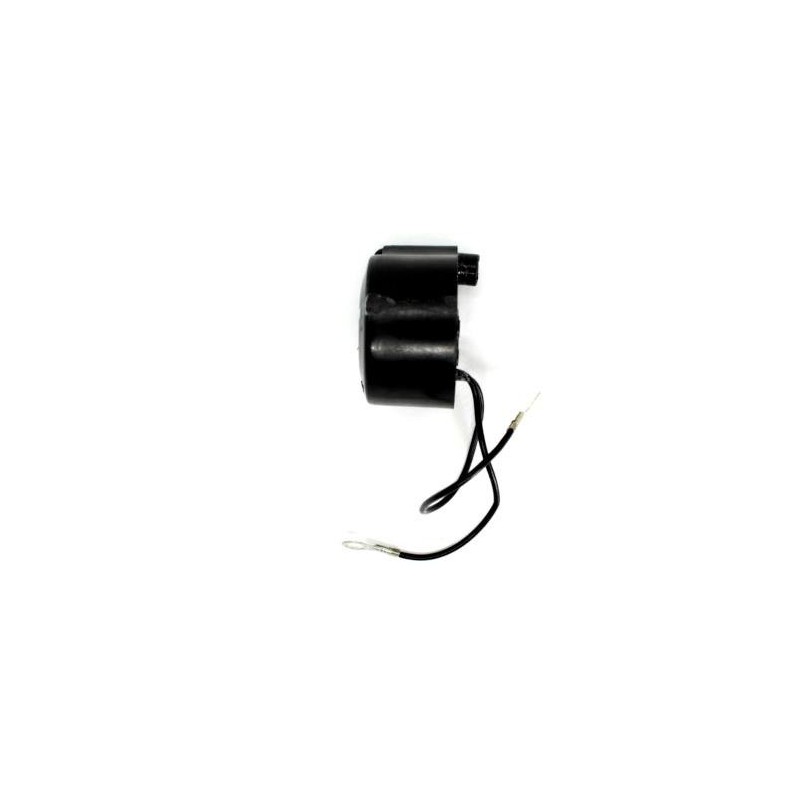 Coil d'allumage Kohler 90 et 91