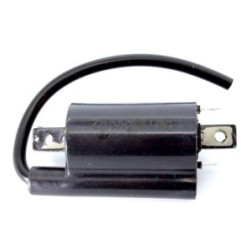 Bobine d'allumage Kawasaki John Deere AM120732 KAF620
