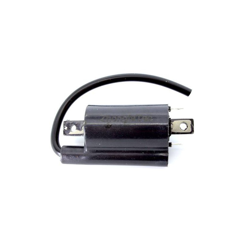 Bobine d'allumage Kawasaki John Deere AM120732 KAF620
