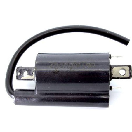 Bobine d'allumage Kawasaki John Deere AM120732 KAF620