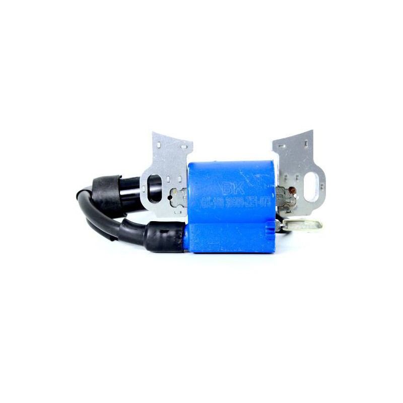 Bobine d'allumage McCulloch Generator FG5700 6000 7000 AK BK MK MK 11HP 13HP