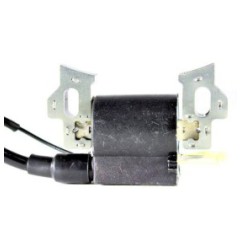 Bobine d'allumage Générateur McCulloch EG4000 FG3000T FGG350 5,5 ch 6,5 ch