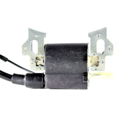 Bobine d'allumage Générateur McCulloch EG4000 FG3000T FGG350 5,5 ch 6,5 ch