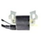 Bobine d'allumage Générateur McCulloch EG4000 FG3000T FGG350 5,5 ch 6,5 ch