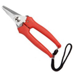 Ciseaux d'élagage pour professionnel Falci Vintage 24760-16