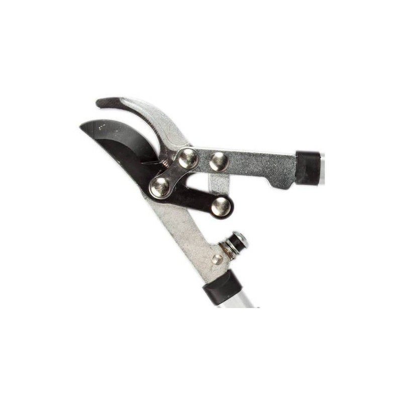 Ciseaux de falci professionnels 247Tra99 Mangos extensibles 99 cm
