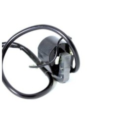 Fumigateur de bobine d'allumage Cofarelli M3A B41-01-020