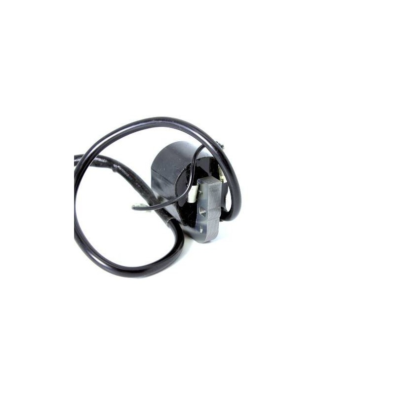 Fumigateur de bobine d'allumage Cofarelli M3A B41-01-020