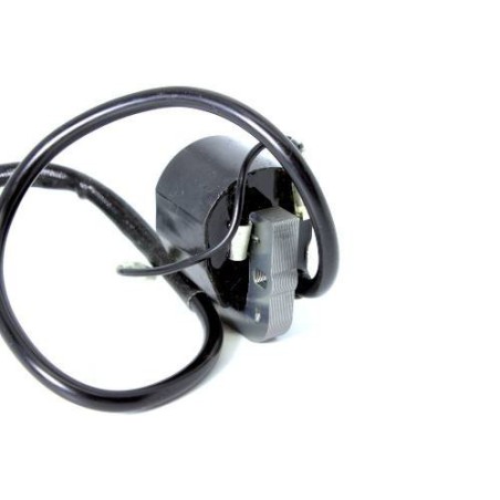 Fumigateur de bobine d'allumage Cofarelli M3A B41-01-020