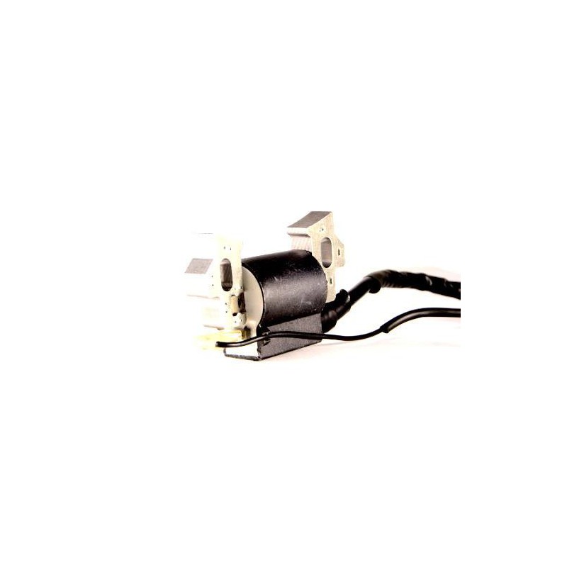 Homelite / Ryobi UT903655 UT903655DA 3650 4550 Watts 208cc 7hp