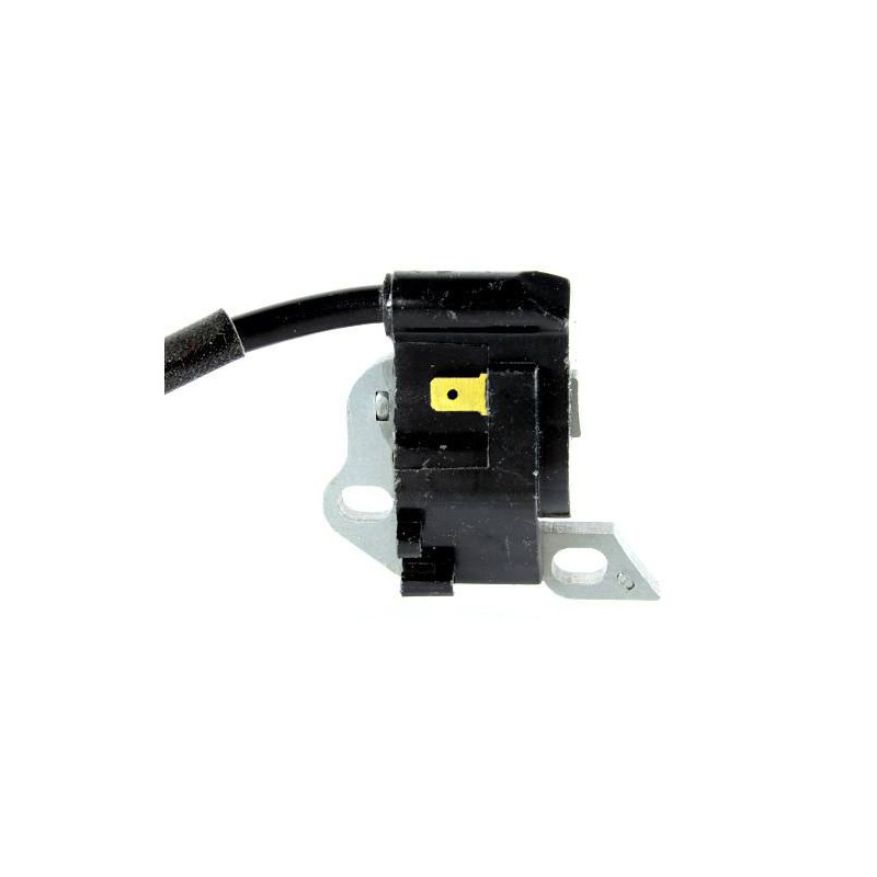Bobine d'allumage pour Stihl BR320 BR340 BR380 BR400 BR420 SR420 SR400