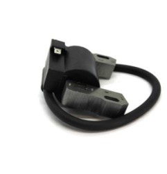 Bobine d'allumage B&S 843931 799651 691060 844548 845606