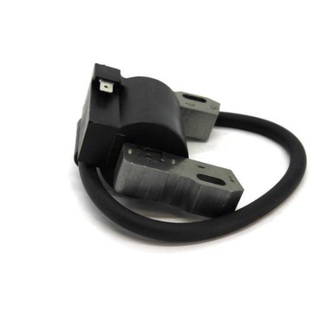 Bobine d'allumage B&S 843931 799651 691060 844548 845606