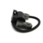 Bobine d'allumage B&S 843931 799651 691060 844548 845606
