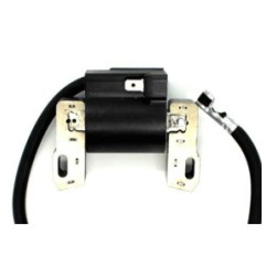 Bobine sur le Cortation B&S 845126 843327 613477 542477 543477 473177 35HP