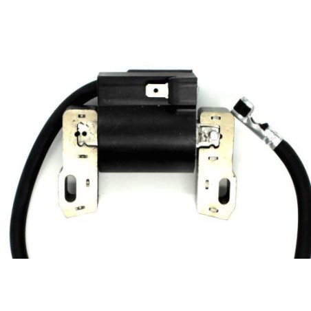 Bobine sur le Cortation B&S 845126 843327 613477 542477 543477 473177 35HP