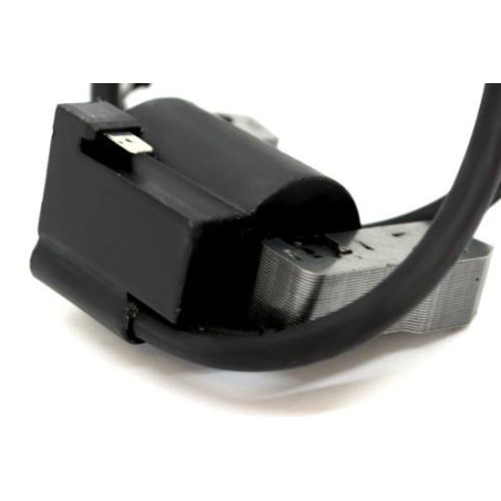 Cortation B&S de bobine d'allumage 398811 395492 398265 298968