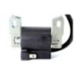 Bobine d'allumage B&S 590454 493237 802574 790817 799381 796499