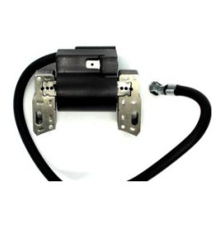 Cortation B&S de bobine d'allumage 591420 398593 496914 793281 793295 / 2-4HP