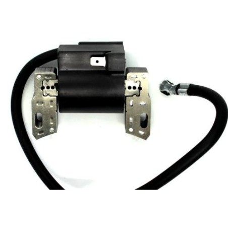 Cortation B&S de bobine d'allumage 591420 398593 496914 793281 793295 / 2-4HP