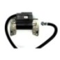 Cortation B&S de bobine d'allumage 591420 398593 496914 793281 793295 / 2-4HP