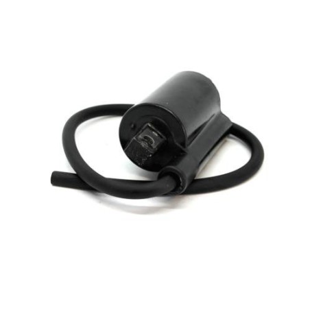Bobine d'allumage B&S 820037