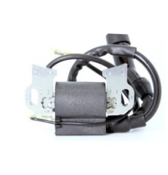 Bobine d'allumage B&S 797769