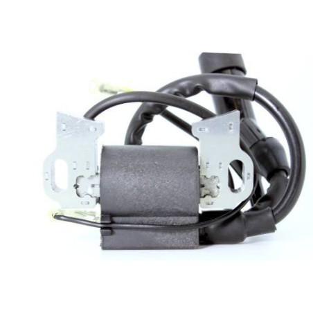 Bobine d'allumage B&S 797769