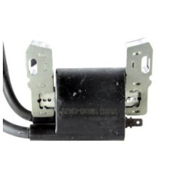 Cortation B&S de bobine d'allumage 394891 392329 590781