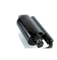 KOHLER CH26 CH735 CH745 CV26 CV7456 LH775 Bobine d'allumage