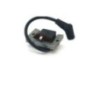 Tecumseh Ignition 35135, 35135A, HMSK80 HMSK90 HMSK110 HMXL70
