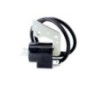 Bobine d'allumage Robin EY15