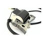 Bobine d'allumage Robin EH12