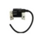 Ignition Coil Kawasaki Discours 260 265 325 F525 F710 LX186 AM 109258