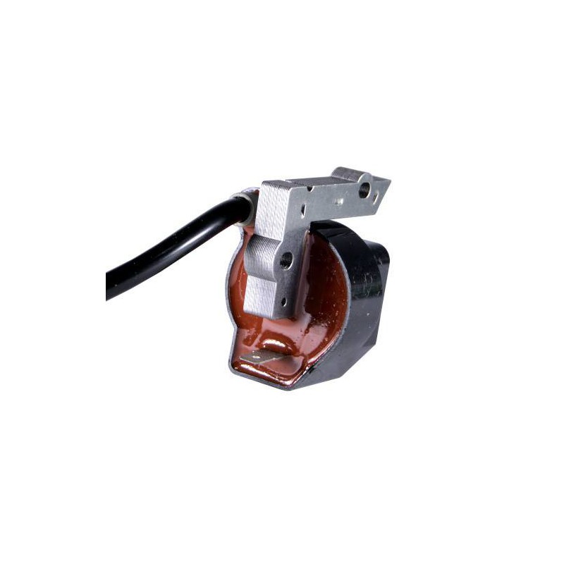 Bobine d'allumage non transférée Poulan P1500 FL20C FL23 FX26SC XT260 FL25 SST25C