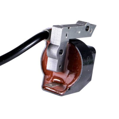 Bobine d'allumage non transférée Poulan P1500 FL20C FL23 FX26SC XT260 FL25 SST25C