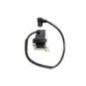 Bobine d'allumage CIFARELLI EB-650 soufflant