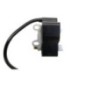 Bobine d'allumage pour Echo TC-2110 EB212 GT-225