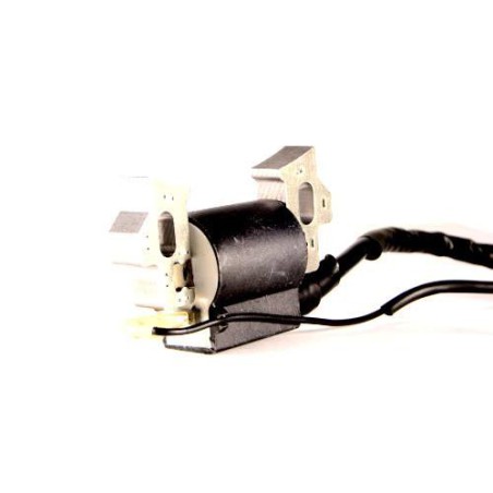 Homelite / Ryobi UT903655 UT903655DA 3650 4550 Watts 208cc 7hp