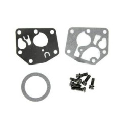 Briggs & Stratton Motor Carburor 498809 494406 497619