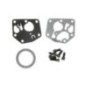 Briggs & Stratton Motor Carburor 498809 494406 497619