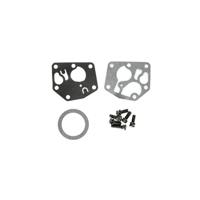 Briggs & Stratton Motor Carburor 498809 494406 497619