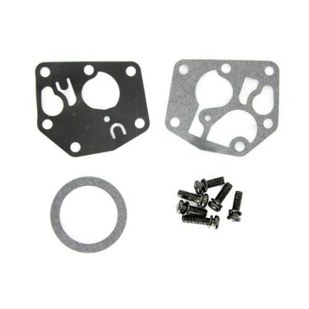 Briggs & Stratton Motor Carburor 498809 494406 497619