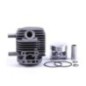 Kit de piston et cylindre pour débloquer l'écho srm gt22