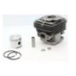 Kit de piston et cylindre pour débloquer l'écho srm350es